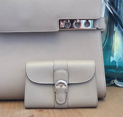 Delvaux Brillant Leather Wallet in Taupe Greige