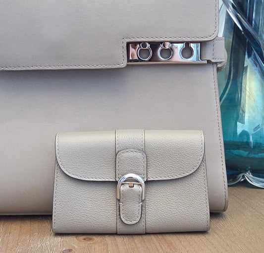 Delvaux Brillant Leather Wallet in Taupe Greige