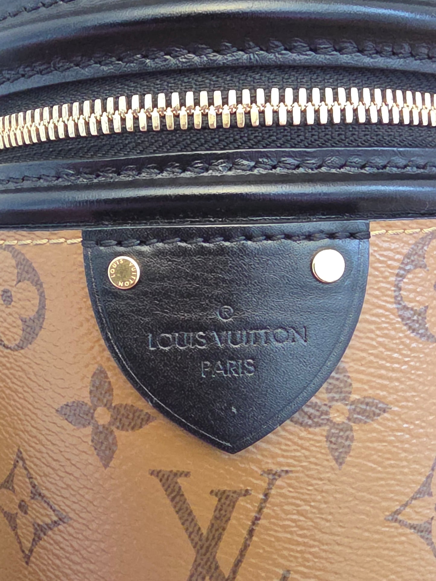 Louis Vuitton Reverse Monogram Cannes Vanity Bag