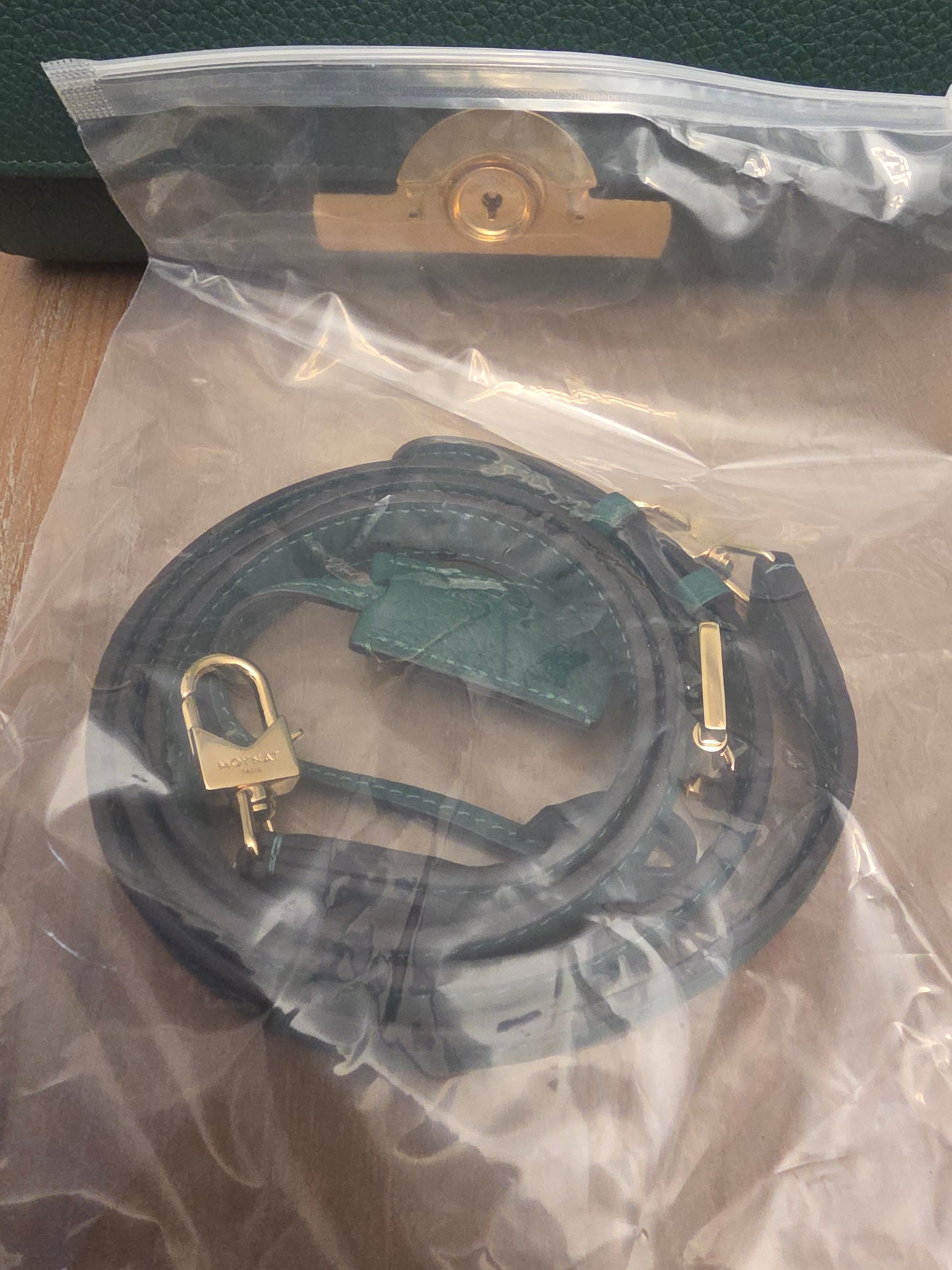 Moynat Réjane PM Green Grained Leather Top Handle Bag