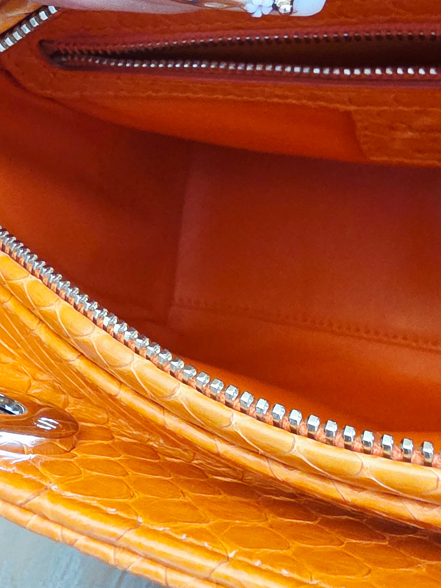🧡 Christian Dior Medium Lady Dior Python Leather Bag in Orange with Silver Hardware & Strap